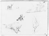Five Deer Sketches; Sketch of a Bare Tree (from Sketchbook), Thomas Hewes Hinckley (1813–1896), Graphite on beige papr, American