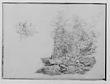 Catskill 1864: A Forest Stream (from Sketchbook), Thomas Hewes Hinckley  American, Graphite on beige paper, American