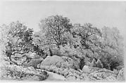 Landscape, David Johnson (American, New York 1827–1908 Walden, New York), Graphite and white-chalk heightening on grey wove paper, American