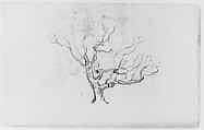 Tree Study (from Sketchbook), Henry Ward Ranger  American, Graphite, ink, on paper, American