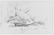 Landscape With Cows (from Sketchbook), Thomas Moran American, born England, Graphite on paper, American