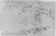 Maple Leaves, 1871 (from Sketchbook), Daniel Huntington  American, Graphite on paper, American