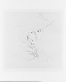 Jane de Glehn, Study for "In the Generalife", John Singer Sargent (American, Florence 1856–1925 London), Graphite on off-white wove paper, American