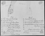Anotomaical Description of the Hand and the Wrist, After Benjamin West (American, Swarthmore, Pennsylvania 1738–1820 London), Black ink, watercolor washes, and black chalk on off-white laid paper, American