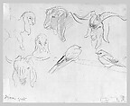 Syrian Goats and Bird, John Singer Sargent (American, Florence 1856–1925 London), Graphite on off-white wove paper, American