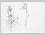 Wasted Trees, John Singer Sargent (American, Florence 1856–1925 London), Graphite on off-white wove paper, American