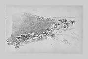 Pines, John Singer Sargent (American, Florence 1856–1925 London), Graphite on gray-green wove paper, American