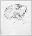 Dog, John Singer Sargent (American, Florence 1856–1925 London), Pen and ink on off-white wove paper, American