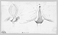 Swans, John Singer Sargent (American, Florence 1856–1925 London), Graphite on off-white wove paper, American