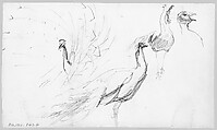Swans, John Singer Sargent (American, Florence 1856–1925 London), Graphite on off-white wove paper, American