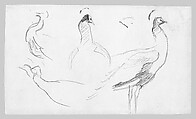 Peacocks, John Singer Sargent (American, Florence 1856–1925 London), Graphite on off-white wove paper, American