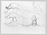 Peacocks, John Singer Sargent (American, Florence 1856–1925 London), Graphite on manilla wove paper, American