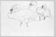 Swans, John Singer Sargent (American, Florence 1856–1925 London), Graphite on off-white wove paper, American