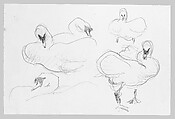 Swans, John Singer Sargent (American, Florence 1856–1925 London), Graphite on off-white wove paper, American