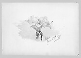 Lilies (from Switzerland 1869 Sketchbook), John Singer Sargent (American, Florence 1856–1925 London), Watercolor and graphite on off-white wove paper, American