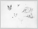 Foxes (from Switzerland 1870 Sketchbook), John Singer Sargent (American, Florence 1856–1925 London), Graphite on off-white wove paper, American