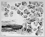 Leaves, John Singer Sargent (American, Florence 1856–1925 London), Watercolor on white wove paper, American