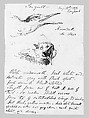 Seagull, John Singer Sargent (American, Florence 1856–1925 London), Pen and ink on paper, American