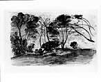 Landscape: Black Trees II, Arthur B. Davies (American, Utica, New York 1862–1928 Florence), Black ink wash, gray gouache, and black chalk on off-white
 wove paper, American