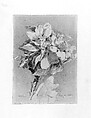 Apple Blossoms, William Trost Richards (American, Philadelphia, Pennsylvania 1833–1905 Newport, Rhode Island), Graphite on off-white wove paper, American