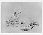 Dog (from McGuire Scrapbook), Francis William Edmonds (American, Hudson, New York 1806–1863 Bronxville, New York), Graphite on off-white wove paper, American
