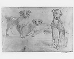 Dogs (from McGuire Scrapbook), Graphite on off-white laid paper, American