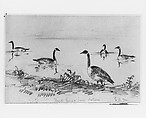 Wild Geese (from McGuire Scrapbook), Shepard Alonzo Mount  American, Graphite on off-white heavy-weight wove paper, American