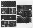 Samples, Pacific Mills (American), Wool, printed, American