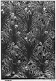 Irises panel, Candace Wheeler (American, Delhi, New York 1827–1923 New York), Silk embroidered with silk and metallic-wrapped cotton threads, metal sequins, and cut-glass beads, American