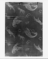 Nets-and-bubbles textile, Associated Artists (1883–1907), Silk and cotton, woven and printed, American