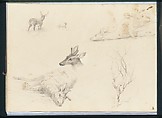 Five Deer Sketches; Sketch of a Bare Tree (from Sketchbook), Thomas Hewes Hinckley (1813–1896), Graphite on beige papr, American