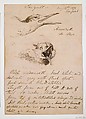 Seagull, John Singer Sargent (American, Florence 1856–1925 London), Pen and ink on paper, American