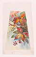 Design for woodbine lampshade panel, Louis C. Tiffany (American, New York 1848–1933 New York), Watercolor, graphite, and black ink on paper, American