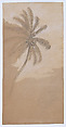 Palm Tree, Elihu Vedder (American, New York 1836–1923 Rome), Graphite and gouache on brown wove paper, American