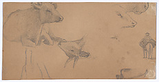 Sketches of a Donkey, a Cow, and a Man on Horseback, Elihu Vedder (American, New York 1836–1923 Rome), Graphite on brown wove paper, American