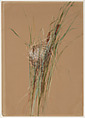 Bird's Nest in Cattails, Fidelia Bridges (American, Salem, Massachusetts 1834-1923 Canaan, Connecticut), Watercolor and gouache on light brown wove paper, American