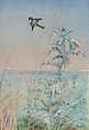 Chickadee and Thistle, Fidelia Bridges  American, Watercolor and gouache on paper, American