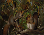 Untitled (Squirrels in a Chestnut Tree), Susan Catherine Moore Waters (American, 1823–1900), Oil on canvas, American