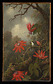 Hummingbird and Passionflowers, Martin Johnson Heade (1819–1904), Oil on canvas, American