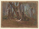 Woodland Interior, Louis C. Tiffany  American, Transparent and opaque watercolor on tan paper, American