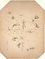 Drawing of Magnolia Vase with Enameling Notations (?), Tiffany & Co. American, Opaque and transparent watercolor, and graphite on board, American