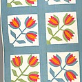 Tulip Quilt, Cotton, American