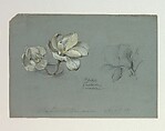 Magnolia Conspicua, Tiffany &amp; Co. (1837–present), Opaque and transparent watercolor, and graphite on board, American