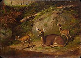 Doe and Two Fawns, Arthur Fitzwilliam Tait American, born England, Oil on academy board, American
