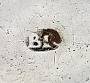 Trencher Salt, Bartholomew Le Roux (ca. 1665–1713), Silver, American