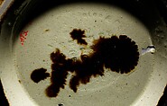 Basin, Lyman, Fenton & Co. (1849–52), Mottled brown earthenware, American