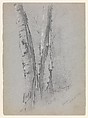 Study of Birch Trunks (Scribners'), Jervis McEntee (American, Rondout, New York 1828–1891 Rondout, New York), Graphite and gouache on blue wove paper, American