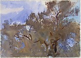 Treetops against Sky, John Singer Sargent (American, Florence 1856–1925 London), Watercolor and gouache on white wove paper, American