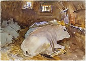 Oxen, John Singer Sargent (American, Florence 1856–1925 London), Watercolor, graphite, and wax crayon on white wove paper, American