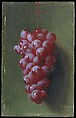 Still Life with Grapes, Carducius Plantagenet Ream American, Oil on canvas, American